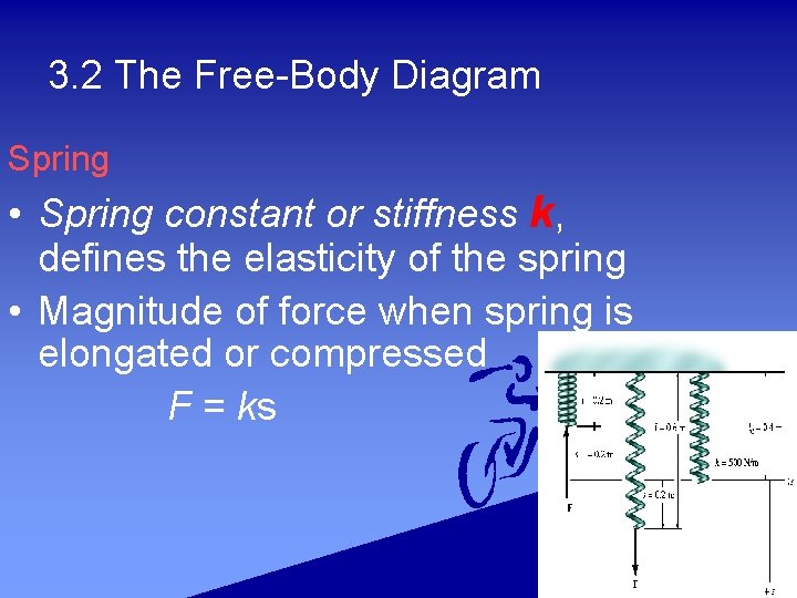 3. 2 The Free-Body Diagram Spring • Spring constant or stiffness k, defines the