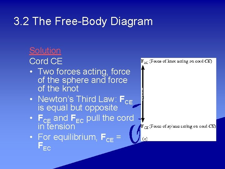 3. 2 The Free-Body Diagram Solution Cord CE • Two forces acting, force of