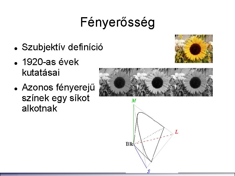 Fényerősség Szubjektív definíció 1920 -as évek kutatásai Azonos fényerejű színek egy síkot alkotnak 