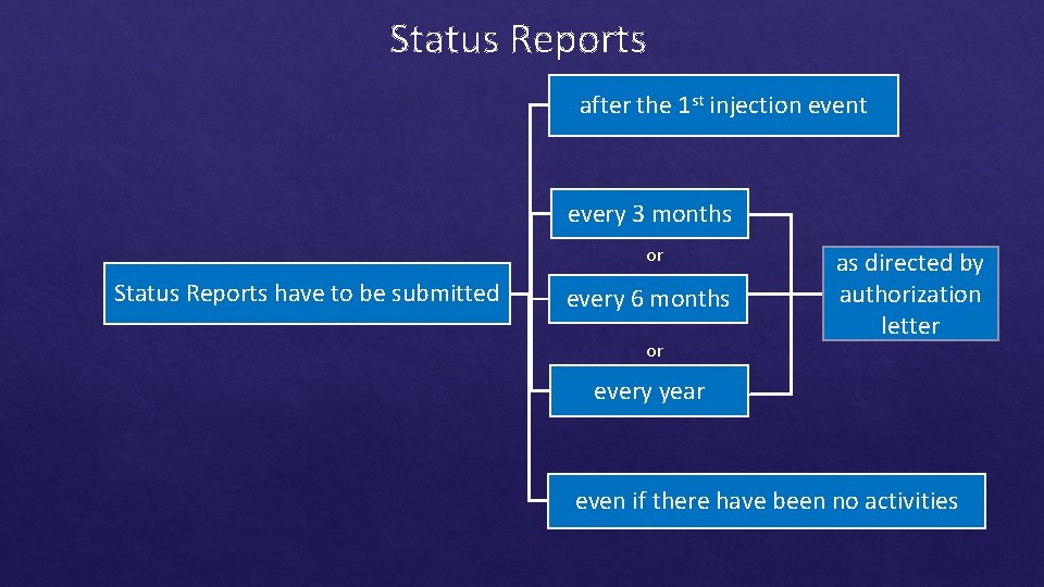 Status Reports after the 1 st injection event every 3 months or Status Reports