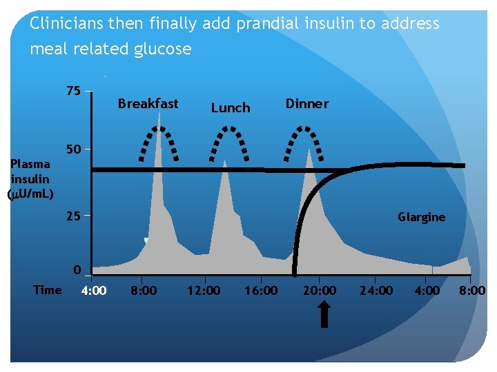 Clinicians then finally add prandial insulin to address meal related glucose 75 Breakfast Lunch