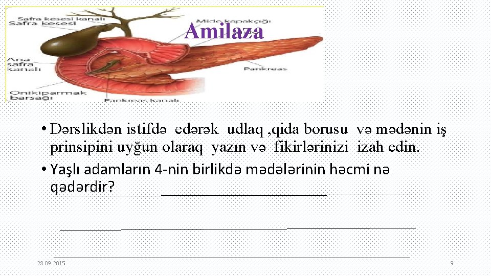 Amilaza • Dərslikdən istifdə edərək udlaq , qida borusu və mədənin iş prinsipini uyğun