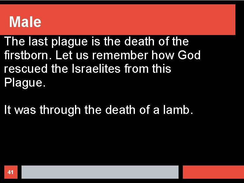 Male The last plague is the death of the firstborn. Let us remember how