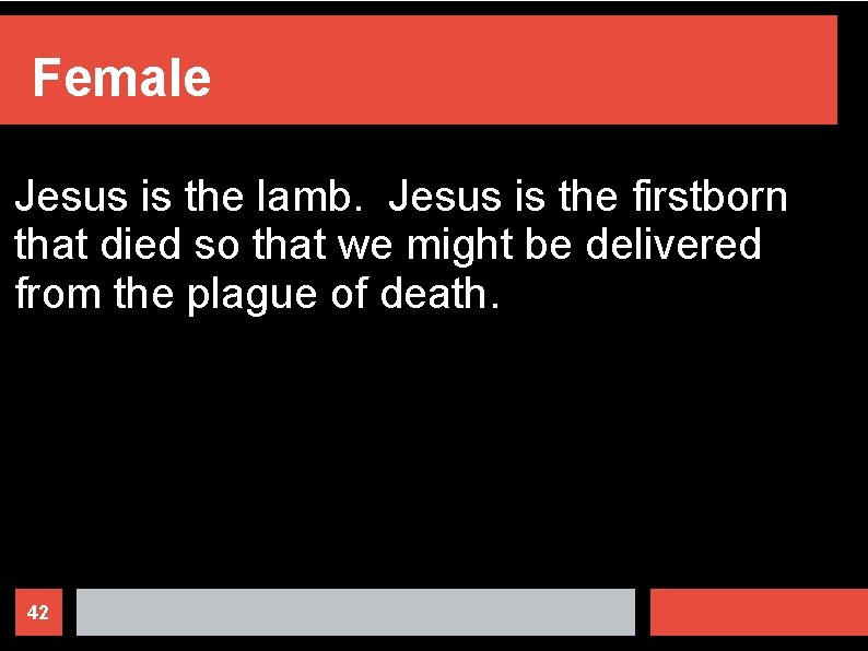 Female Jesus is the lamb. Jesus is the firstborn that died so that we