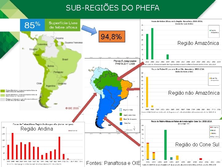 SUB-REGIÕES DO PHEFA 94, 8% Região Amazônica Região não Amazônica Região Andina Região do