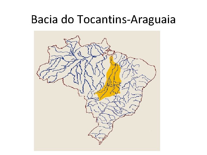 Bacia do Tocantins-Araguaia 