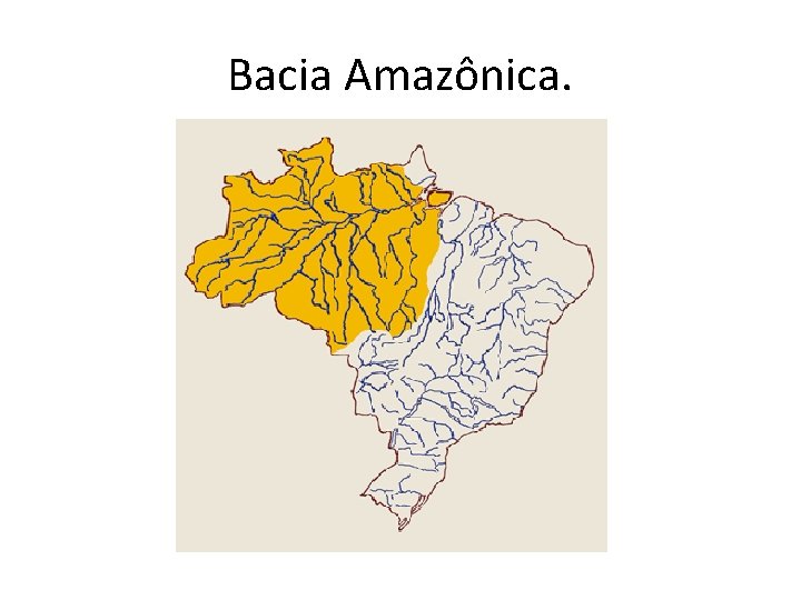 Bacia Amazônica. 