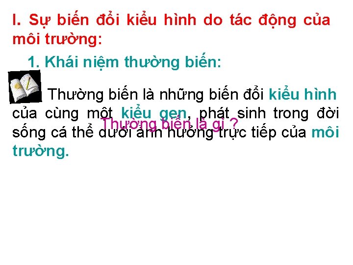 I. Sự biến đổi kiểu hình do tác động của môi trường: 1. Khái