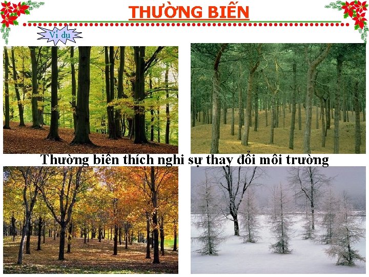 THƯỜNG BIẾN Vi du Thường biến thích nghi sự thay đổi môi trường 