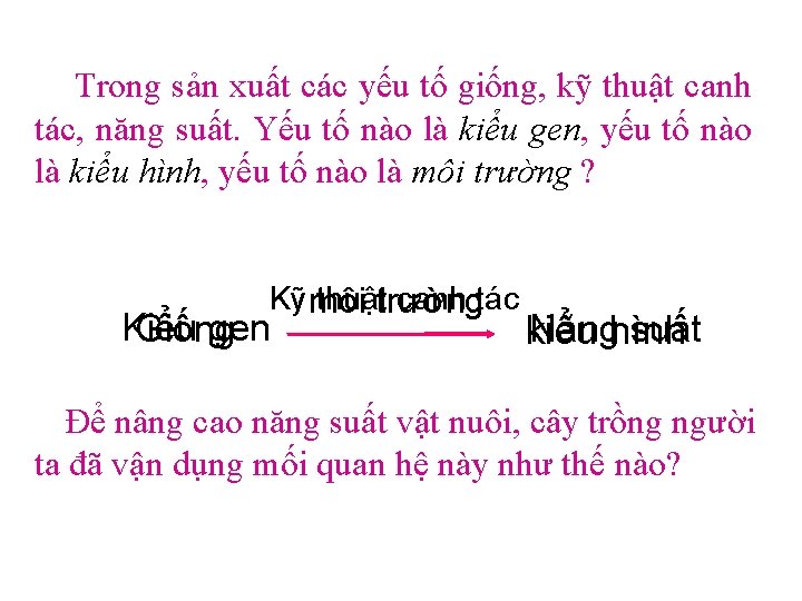 Trong sản xuất các yếu tố giống, kỹ thuật canh tác, năng suất. Yếu