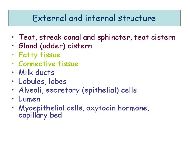  • • • External and internal structure Teat, streak canal and sphincter, teat