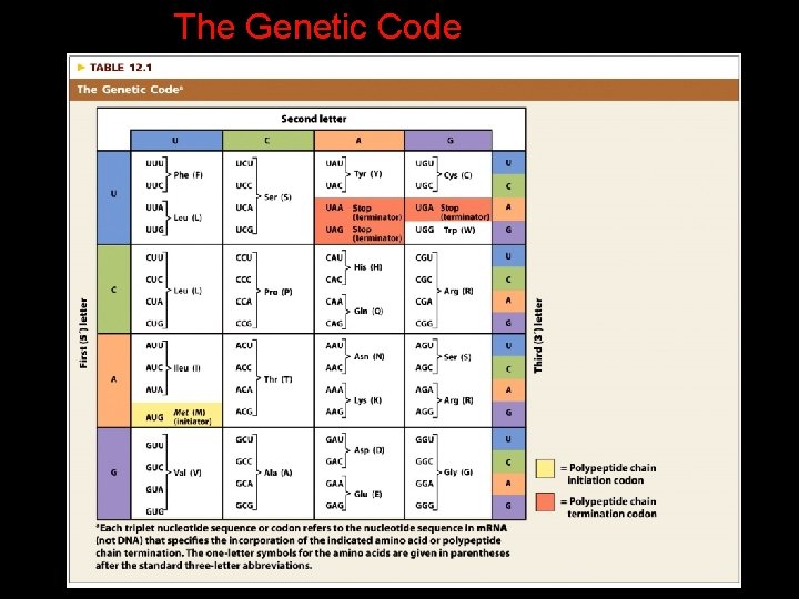 The Genetic Code 