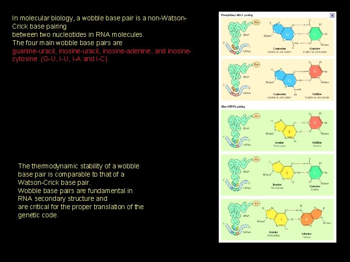 In molecular biology, a wobble base pair is a non-Watson. Crick base pairing between