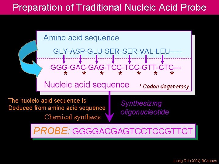 Preparation of Traditional Nucleic Acid Probe Amino acid sequence GLY-ASP-GLU-SER-VAL-LEU----GGG-GAC-GAG-TCC-GTT-CTC--- * * Nucleic acid