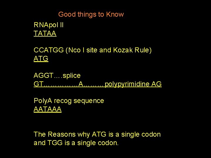 Good things to Know RNApol II TATAA CCATGG (Nco I site and Kozak Rule)