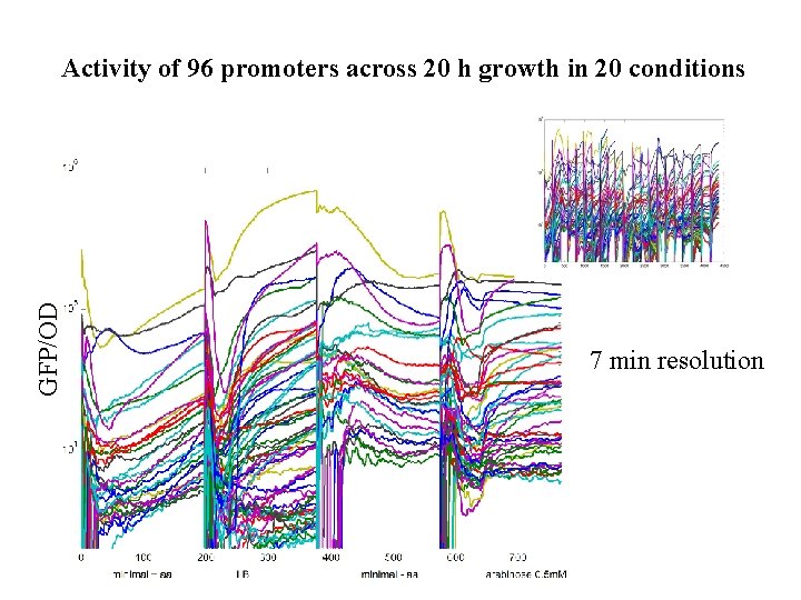 GFP/OD Activity of 96 promoters across 20 h growth in 20 conditions 7 min