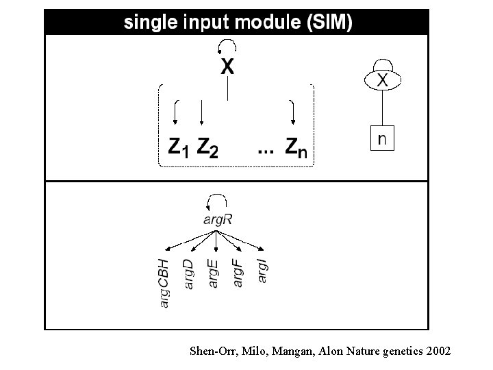 Shen-Orr, Milo, Mangan, Alon Nature genetics 2002 