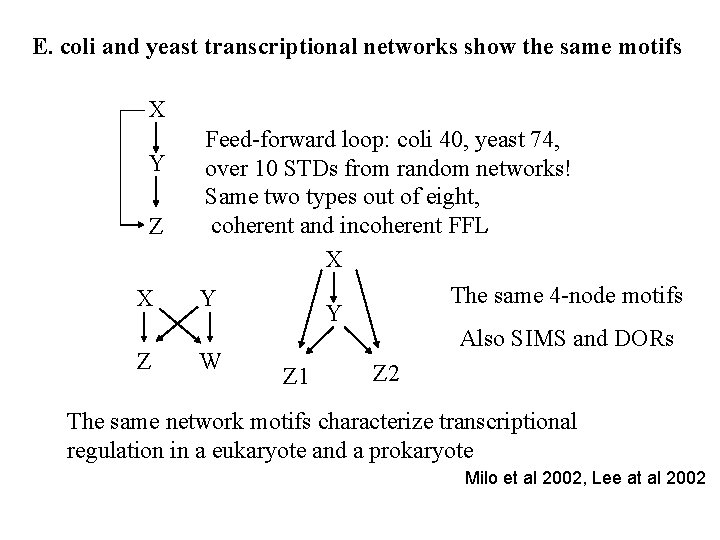 E. coli and yeast transcriptional networks show the same motifs X Y Z X