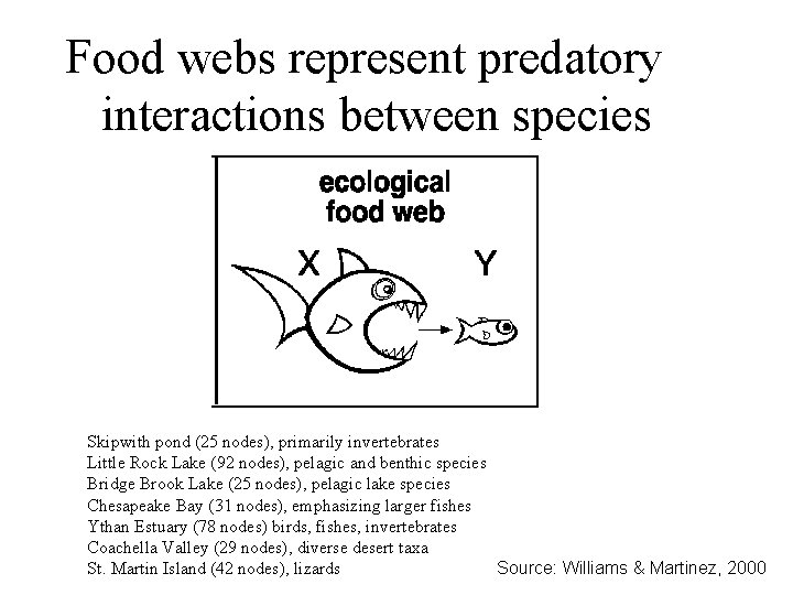 Food webs represent predatory interactions between species Skipwith pond (25 nodes), primarily invertebrates Little