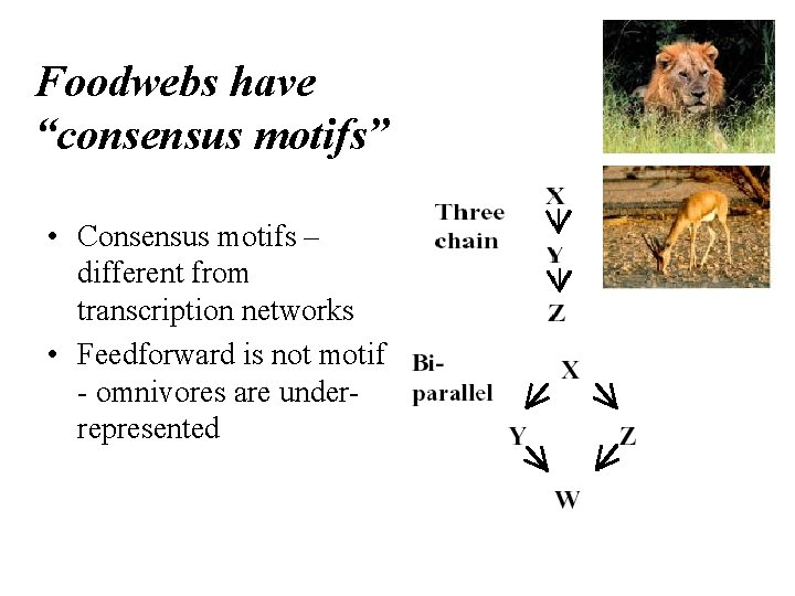 Foodwebs have “consensus motifs” • Consensus motifs – different from transcription networks • Feedforward