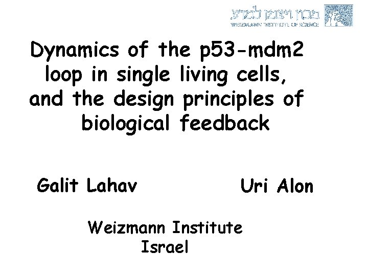 Dynamics of the p 53 -mdm 2 loop in single living cells, and the