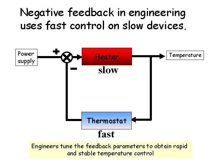 Negative feedback in engineering uses fast control on slow devices. Power supply Heater Temperature