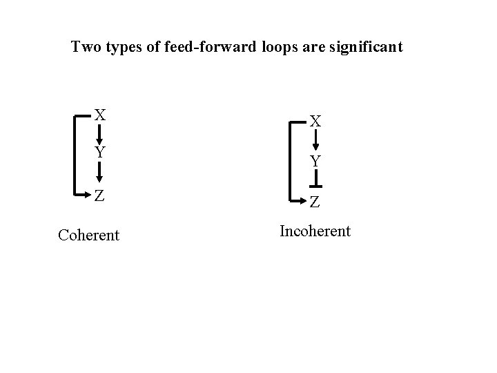 Two types of feed-forward loops are significant X Y Z Coherent X Y Z
