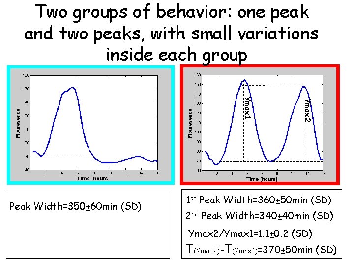 Two groups of behavior: one peak and two peaks, with small variations inside each