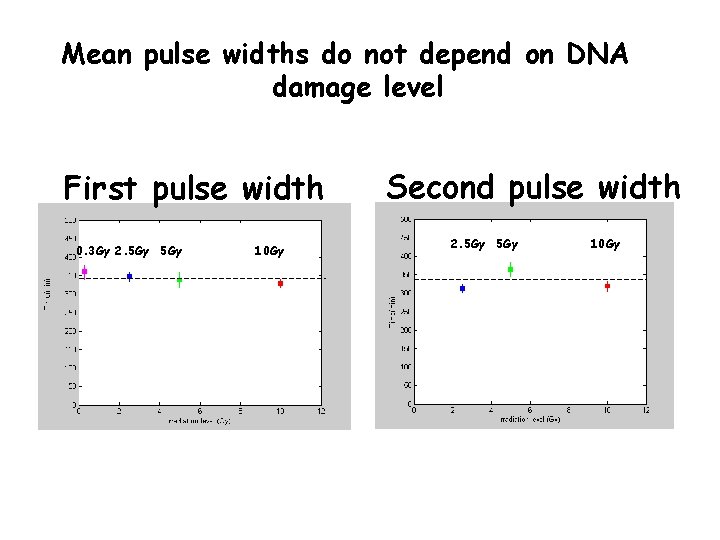 Mean pulse widths do not depend on DNA damage level First pulse width 0.