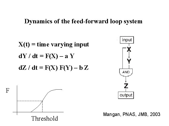 Dynamics of the feed-forward loop system X(t) = time varying input d. Y /