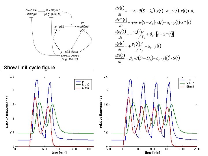 Show limit cycle figure 