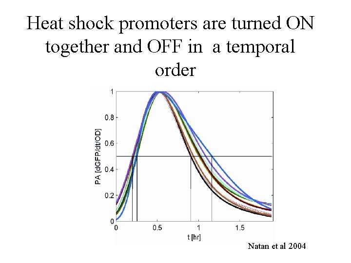 Heat shock promoters are turned ON together and OFF in a temporal order Natan
