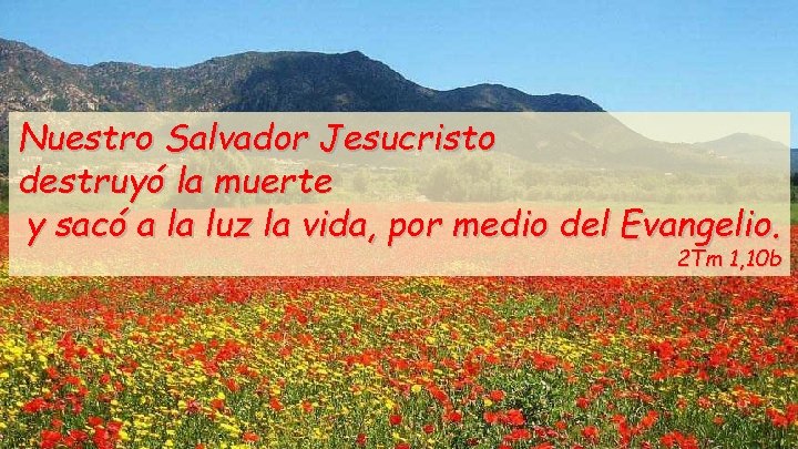 Nuestro Salvador Jesucristo destruyó la muerte y sacó a la luz la vida, por