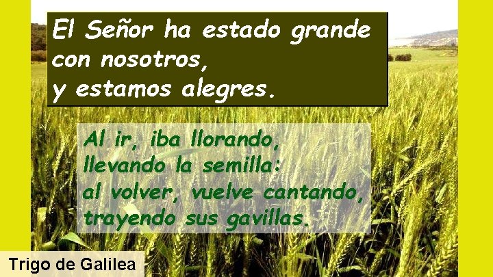 El Señor ha estado grande con nosotros, y estamos alegres. Al ir, iba llorando,