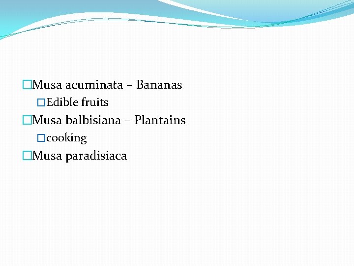 �Musa acuminata – Bananas �Edible fruits �Musa balbisiana – Plantains �cooking �Musa paradisiaca 