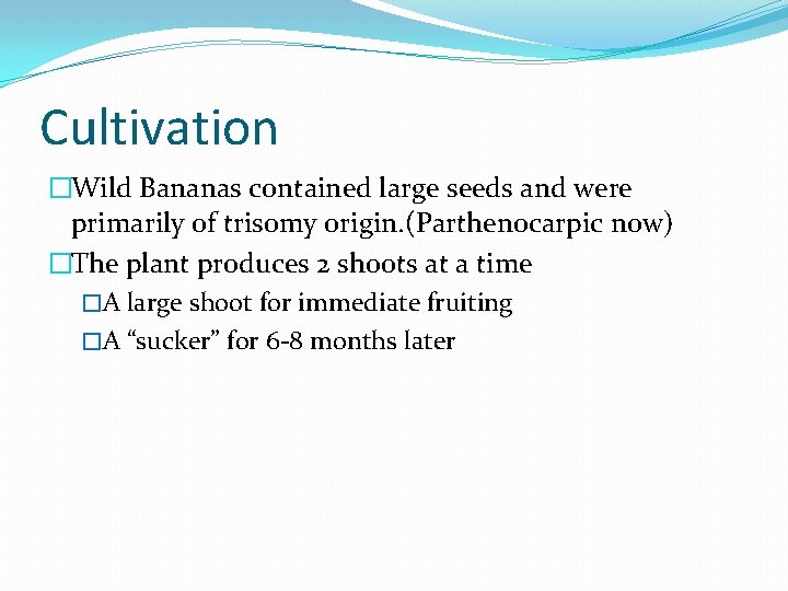 Banana Genus Musa Family Musaceae Musa acuminata Bananas