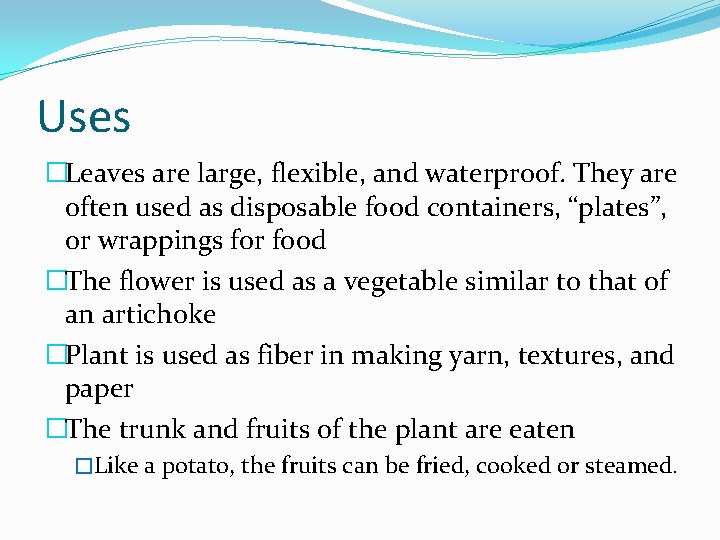 Uses �Leaves are large, flexible, and waterproof. They are often used as disposable food