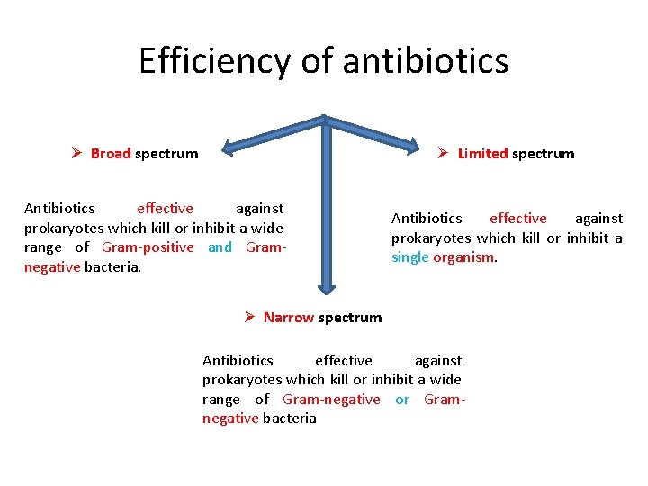 Efficiency of antibiotics Ø Broad spectrum Ø Limited spectrum Antibiotics effective against prokaryotes which