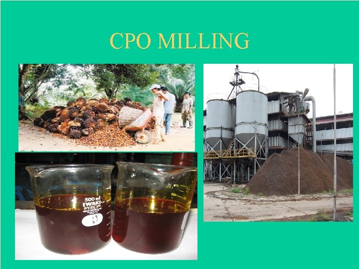 CPO MILLING 