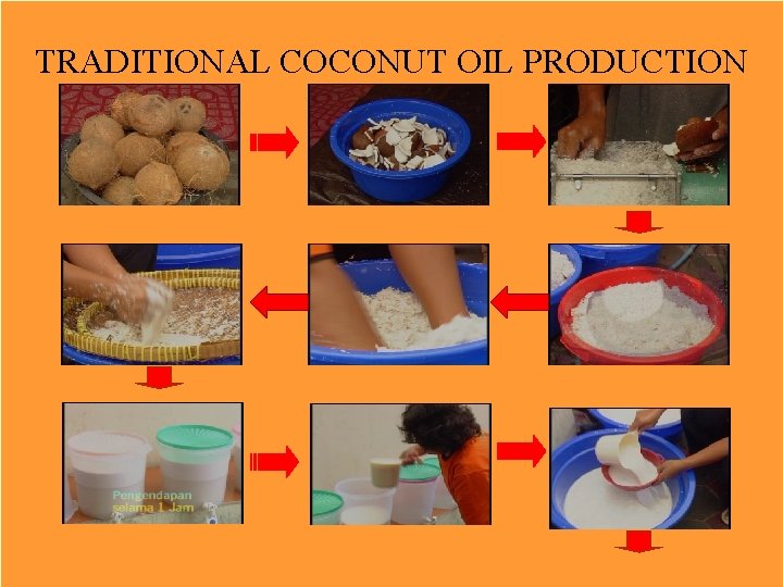 TRADITIONAL COCONUT OIL PRODUCTION 