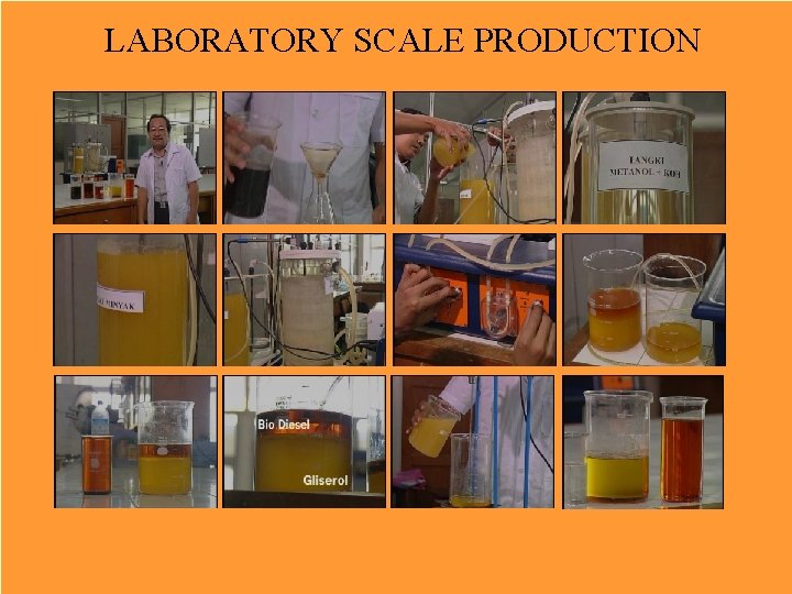 LABORATORY SCALE PRODUCTION 