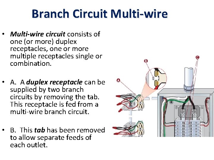 Branch Circuit Multi-wire • Multi-wire circuit consists of one (or more) duplex receptacles, one
