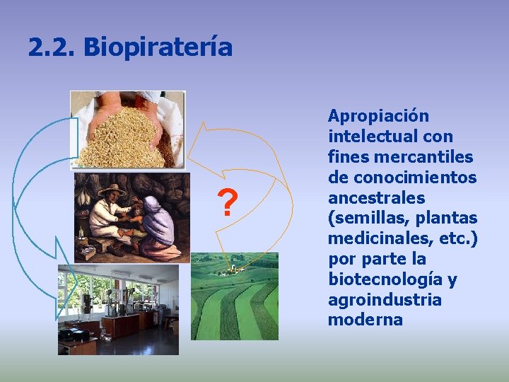 2. 2. Biopiratería ? Apropiación intelectual con fines mercantiles de conocimientos ancestrales (semillas, plantas 2. 2. Biopiratería ? Apropiación intelectual con fines mercantiles de conocimientos ancestrales (semillas, plantas