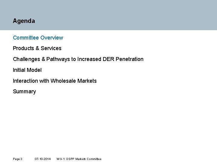 Agenda Committee Overview Products & Services Challenges & Pathways to Increased DER Penetration Initial