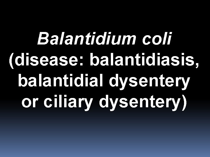 Balantidium coli (disease: balantidiasis, balantidial dysentery or ciliary dysentery) 