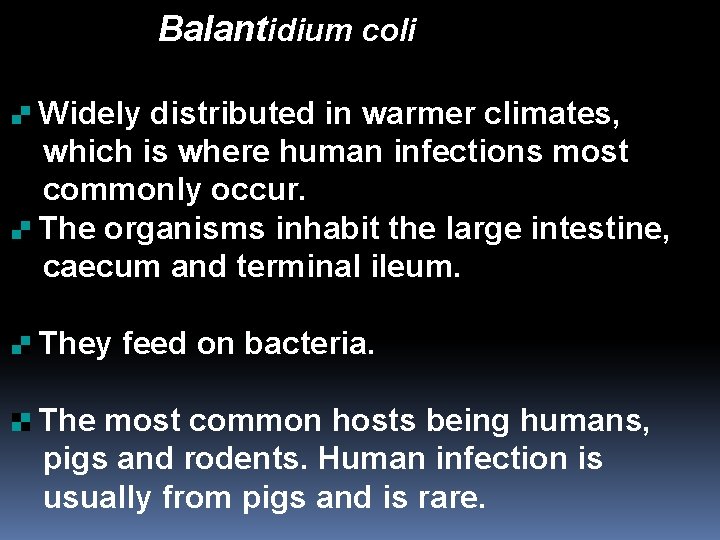 Balantidium coli Widely distributed in warmer climates, which is where human infections most commonly