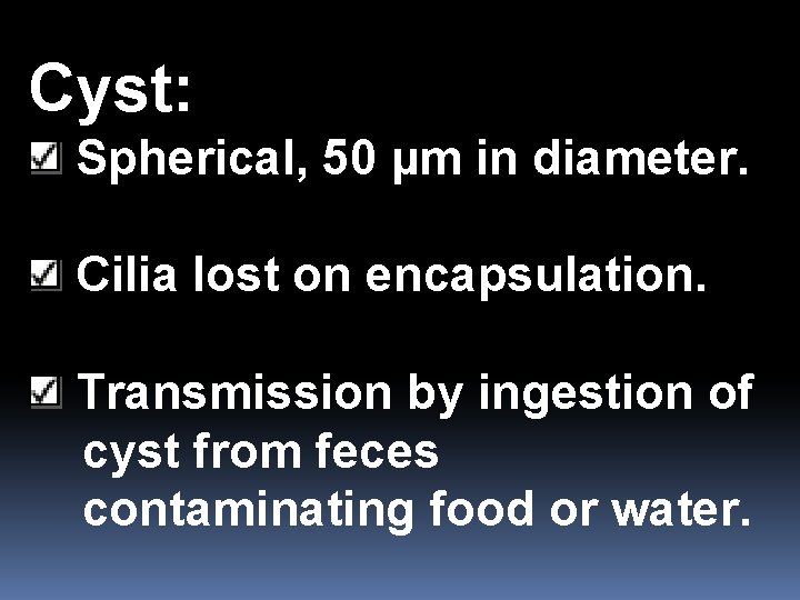 Cyst: Spherical, 50 µm in diameter. Cilia lost on encapsulation. Transmission by ingestion of