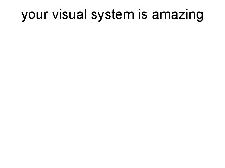 your visual system is amazing 