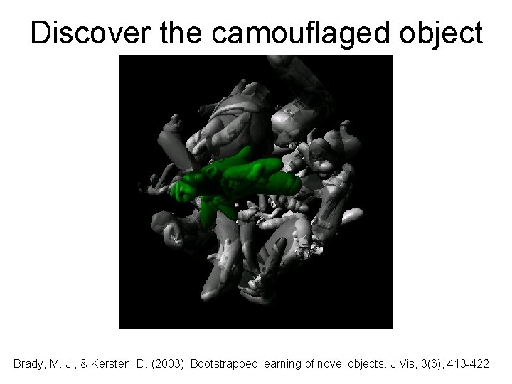 Discover the camouflaged object Brady, M. J. , & Kersten, D. (2003). Bootstrapped learning