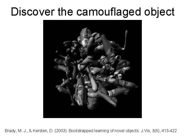 Discover the camouflaged object Brady, M. J. , & Kersten, D. (2003). Bootstrapped learning